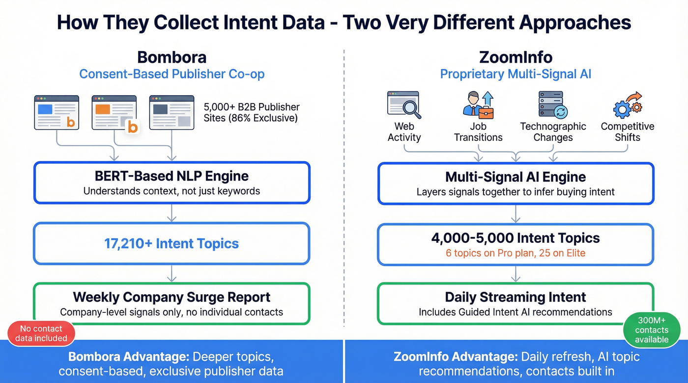 Bombora vs ZoomInfo intent data methodology comparison diagram