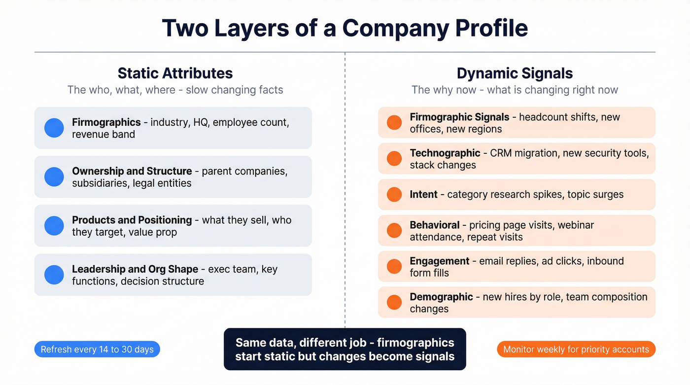 Static attributes vs dynamic signals in company profiling