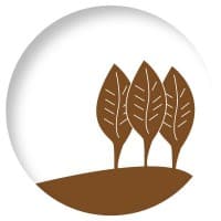 Manifatture Sigaro Toscano