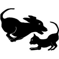 Sanders Animal Hospital