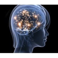 Michiana Neuroscience