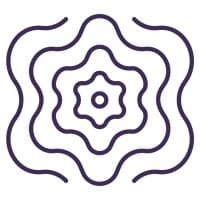 Fullerton Fund Management