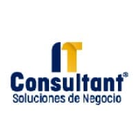 IT Consultant