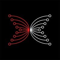 Input Output (IOHK)