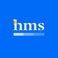 hms - Strategic Financial IT